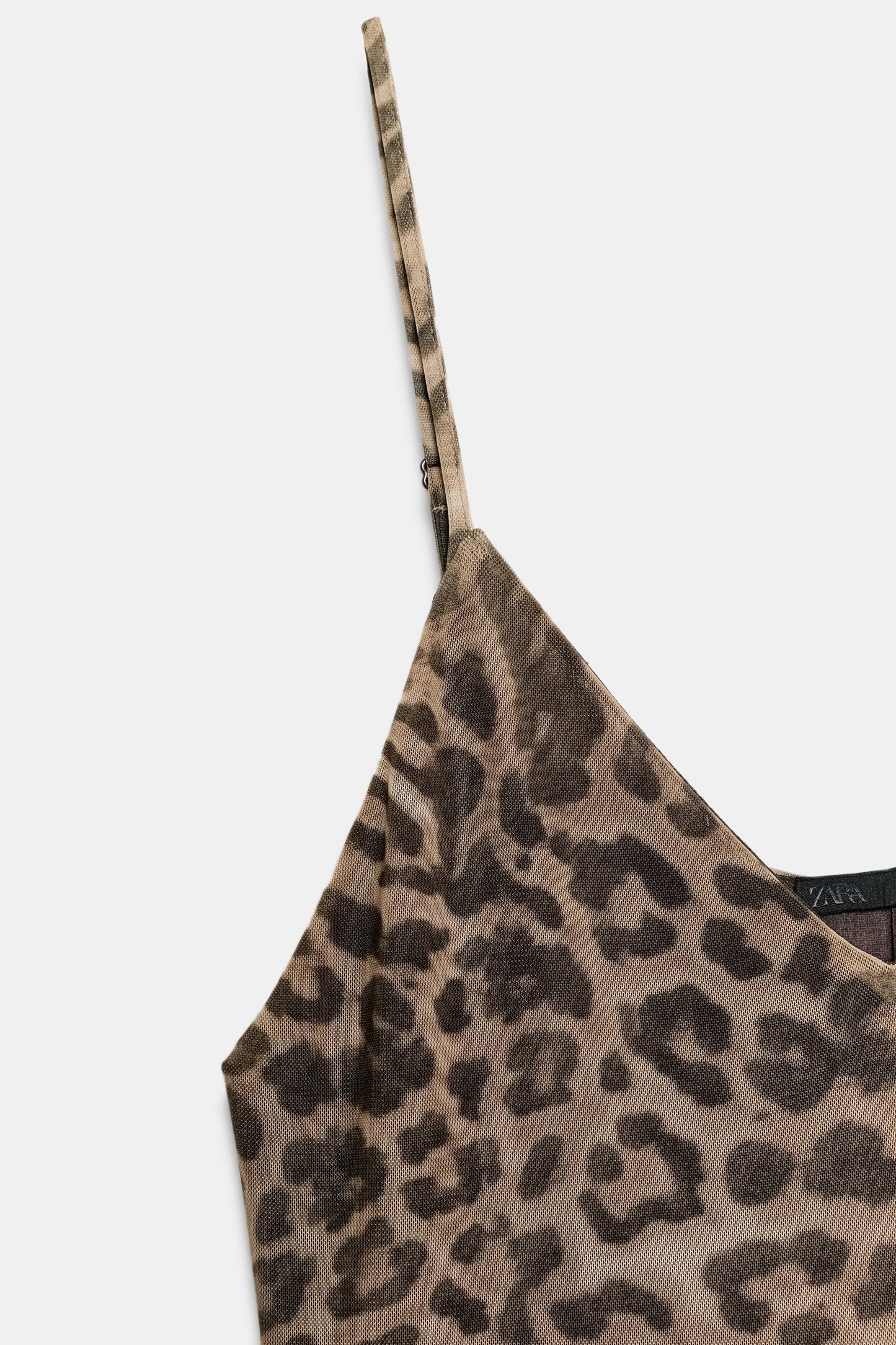 #302217, Leopard
