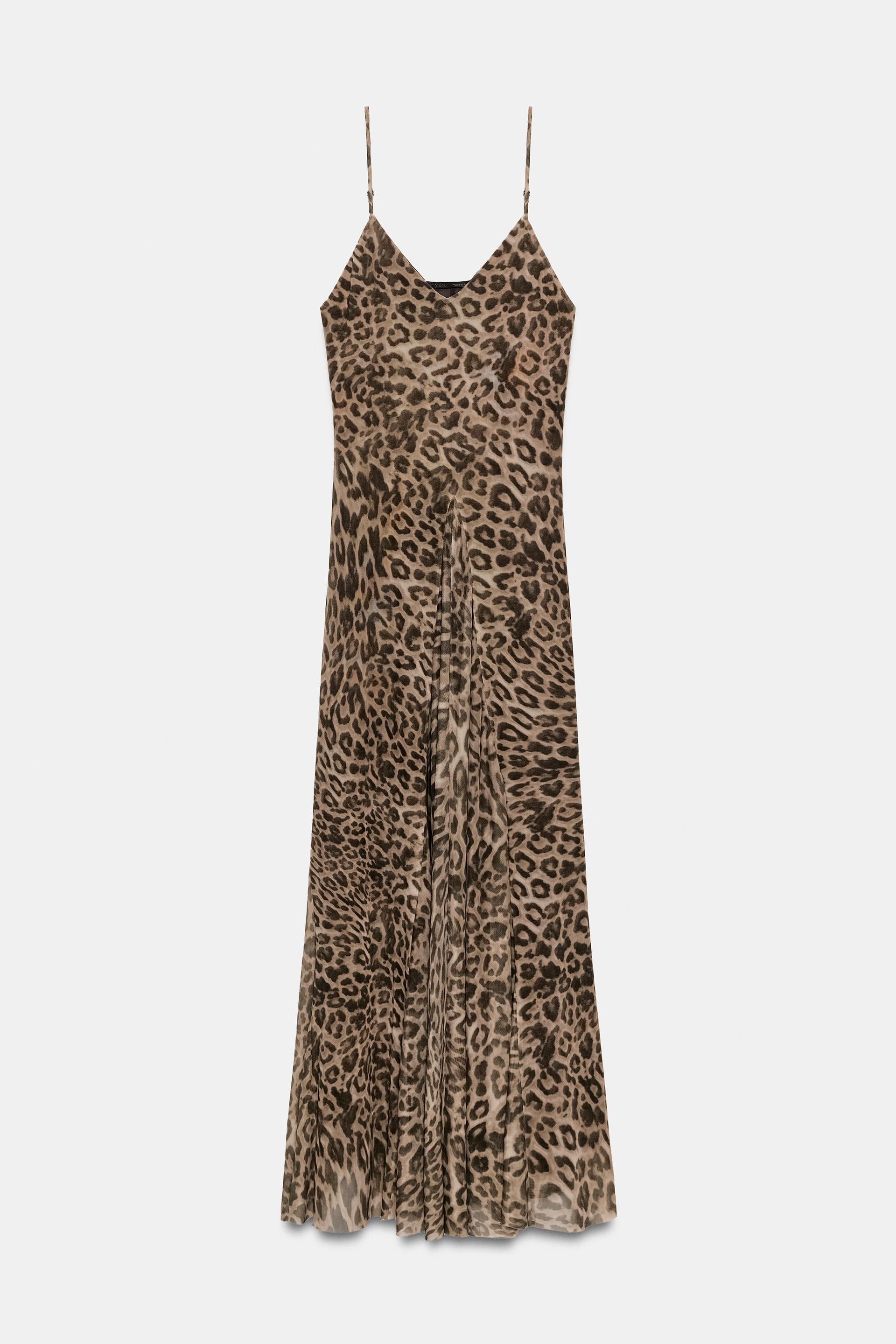 #302217, Leopard